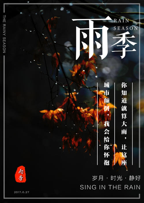 南非护照怎么仿制